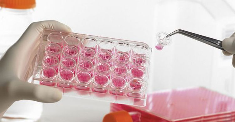Life Sciences